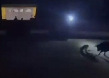VIDEO: Torero queda a oscuras frente al toro durante apagón y sale volando