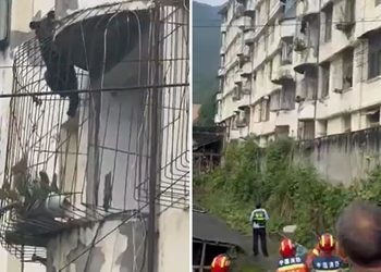 VIDEO; Oso sorprende escalando un edificio y desata tensión