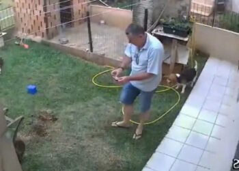 VIDEO; Le prendió fuego a un nido y su jardín explotó
