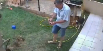 VIDEO; Le prendi贸 fuego a un nido y su jard铆n explot贸