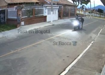 VIDEO: Perro frustra asalto  y salva a su dueño