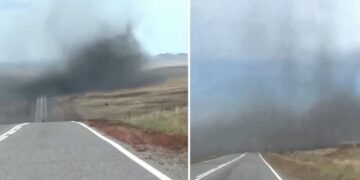 VIDEO; Nube de mosquitos sorprende en carretera de Siberia