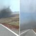 VIDEO; Nube de mosquitos sorprende en carretera de Siberia