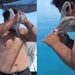 VIDEO; Pescador y pulpo protagonizan insólita pelea en Yucatán