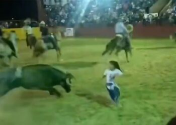 VIDEO; Niña cae al ruedo y escapa de un toro en Yucatán