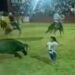 VIDEO; Niña cae al ruedo y escapa de un toro en Yucatán