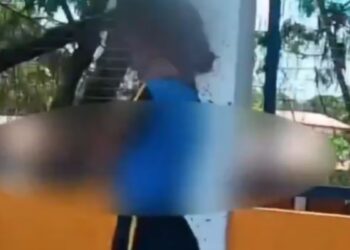 VIDEO; Ataque de abejas deja más de 100 picaduras a estudiante