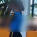VIDEO; Ataque de abejas deja más de 100 picaduras a estudiante