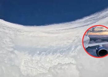 VIDEO; Cazadores de huracanes entran al ojo de Polo