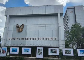 Denuncian ante FGR los padres de los bebés fallecidos en el IMSS de Jalisco por presunta bacteria""