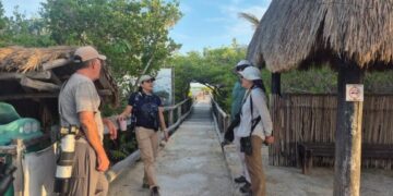 Conmemora FPMC el Día Mundial de las Aves Playeras con jornada de observación en Punta Sur