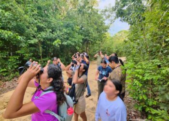 El programa “Observando con el Corazón” de la FPMC acercó a la comunidad a la avifauna de Cozumel
