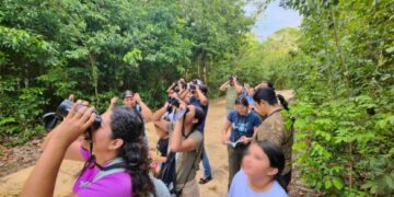 El programa “Observando con el Corazón” de la FPMC acercó a la comunidad a la avifauna de Cozumel