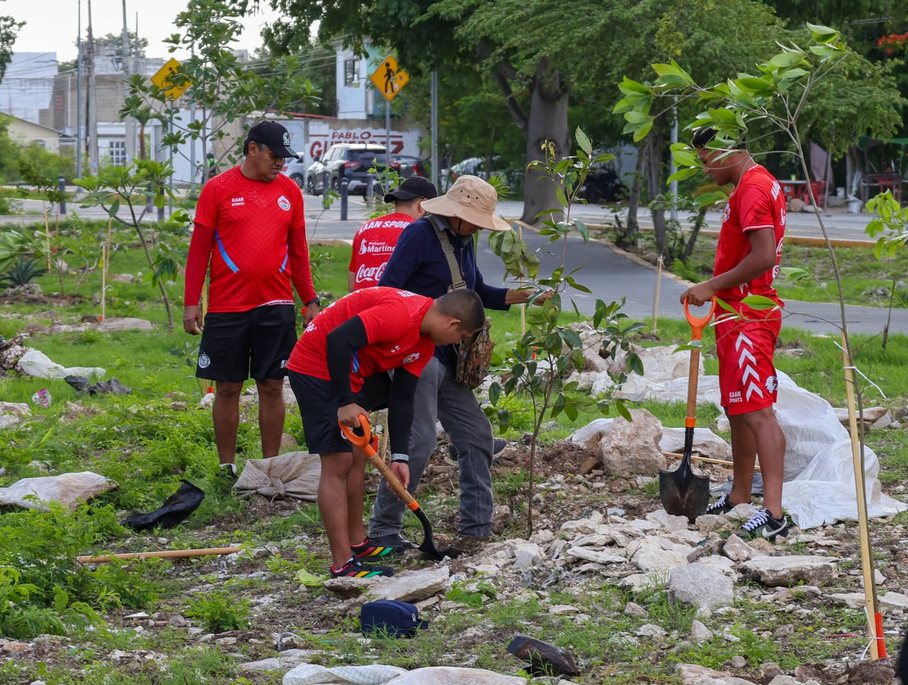 Ayuntamiento de Benito Juárez planta 150 árboles en Av. 20 de Noviembre
