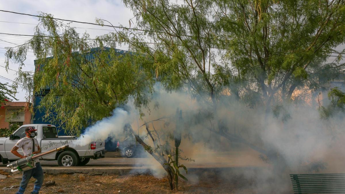Muertes por dengue aumentan a 33 en México