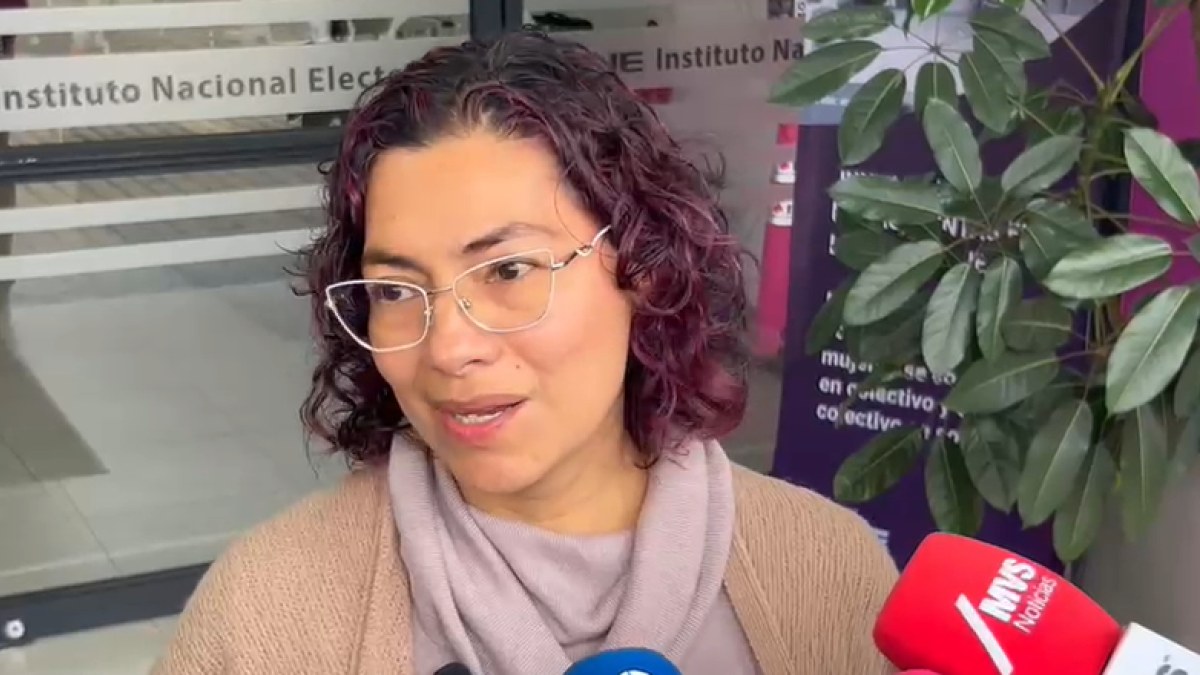 Consejera del INE denuncia amenazas de Guadalupe Taddei