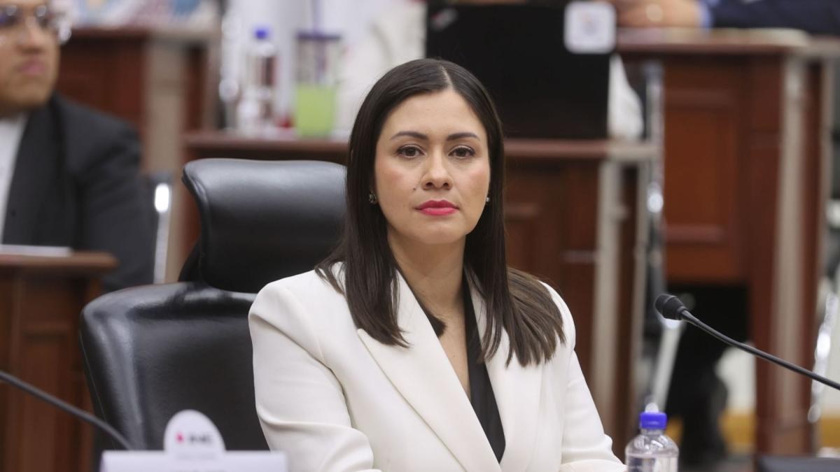 Blanca Cruz asume presidencia provisional del INE