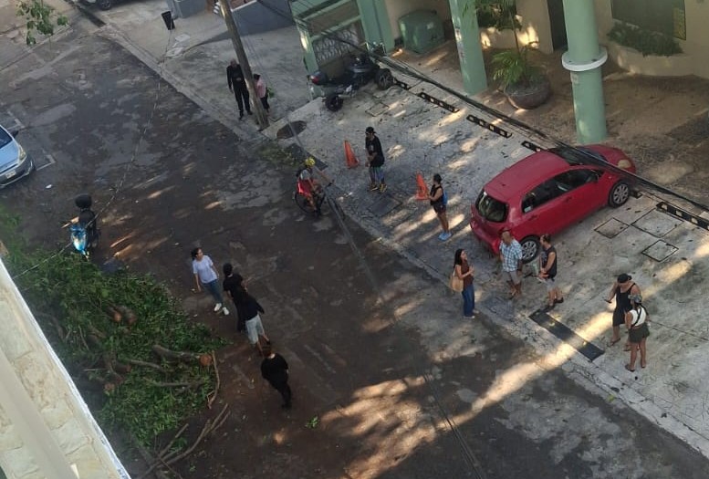 Vecinos bloquean traslado de álamo en Playa del Carmen