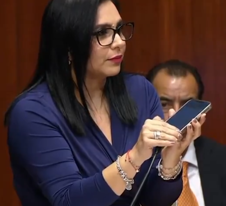 Senadora PAN denuncia corrupción en Tren Maya