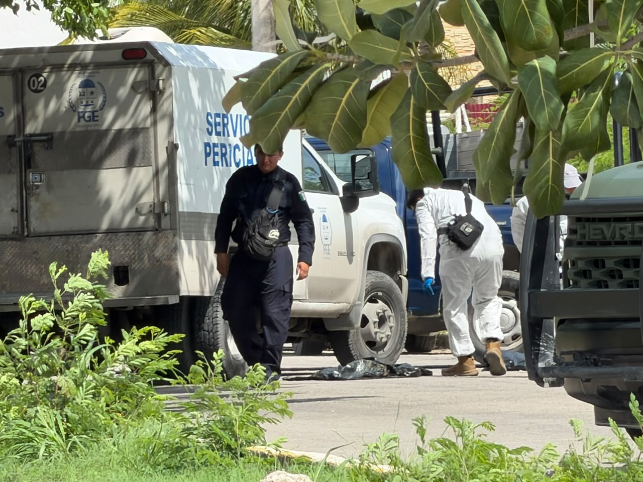 Hallan cuerpo embolsado en Región 97 de Cancún