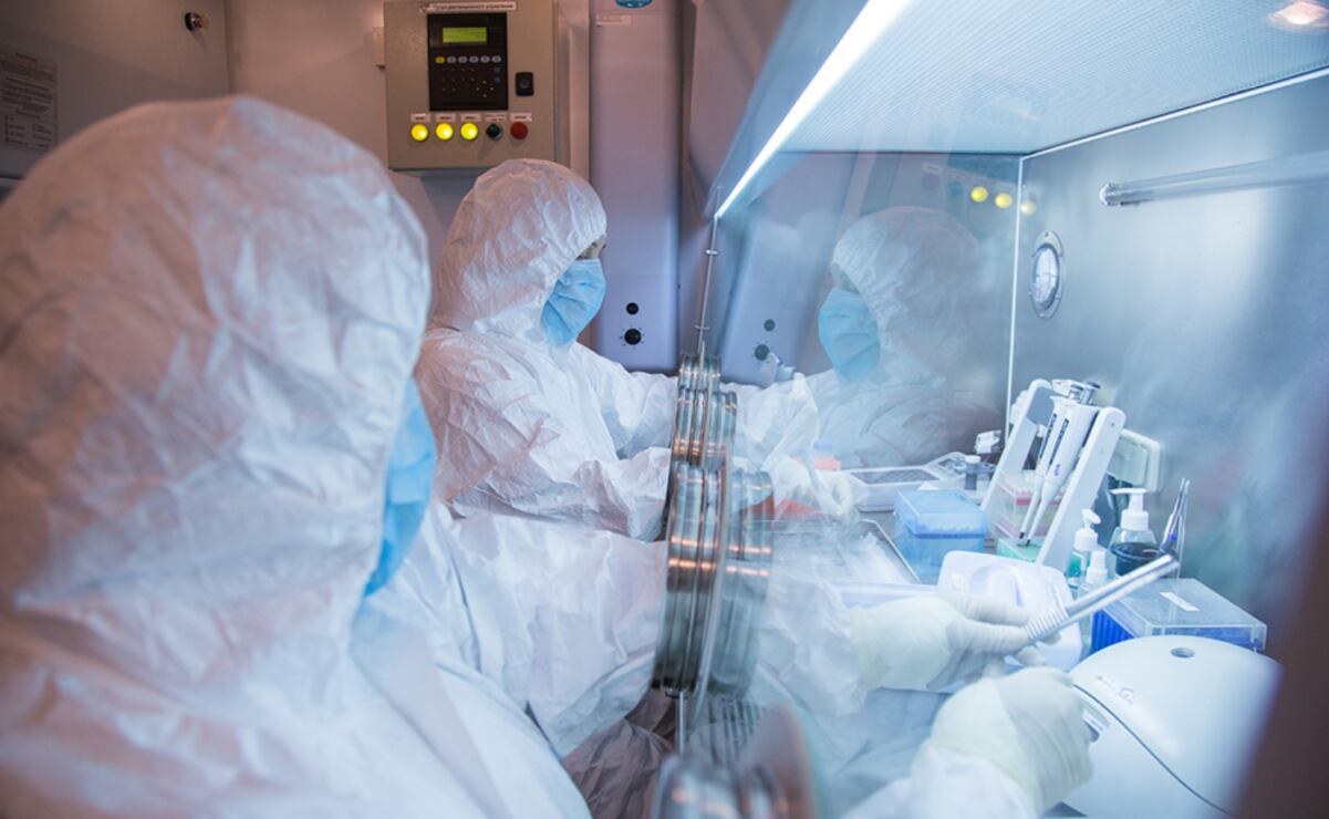 OMS pide información sobre posible peste neumónica en Siberia