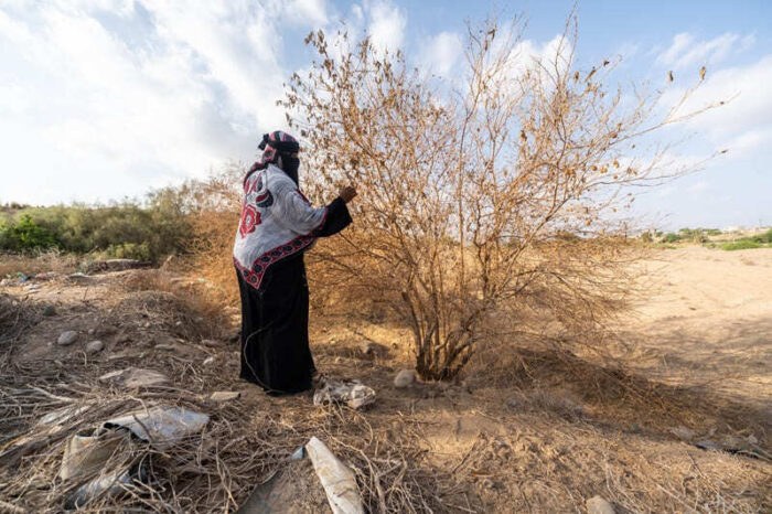 Plan International alerta impacto climático en derechos de niñas
