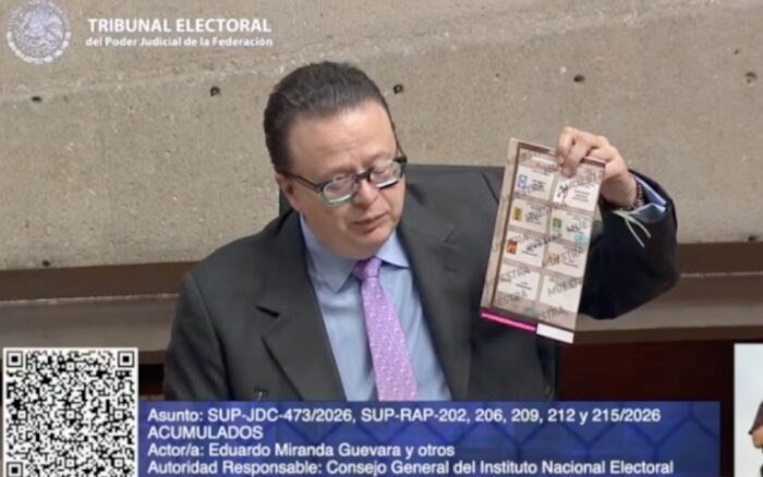 Tribunal Electoral veta boletas planchadas en elección federal