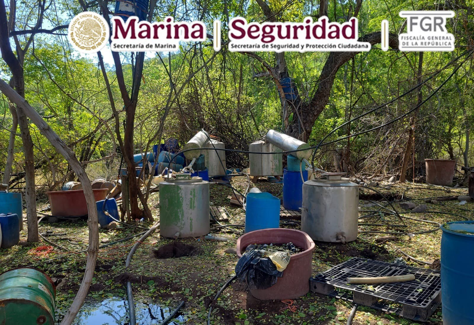 Inhabilitan laboratorio clandestino en Sinaloa con precursores químicos