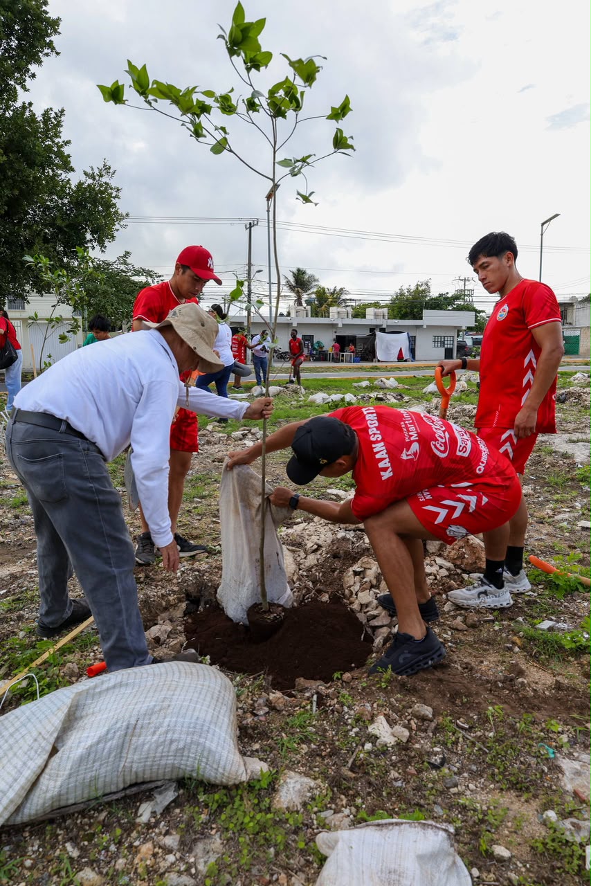 Ayuntamiento de Benito Juárez planta 150 árboles en Av. 20 de Noviembre