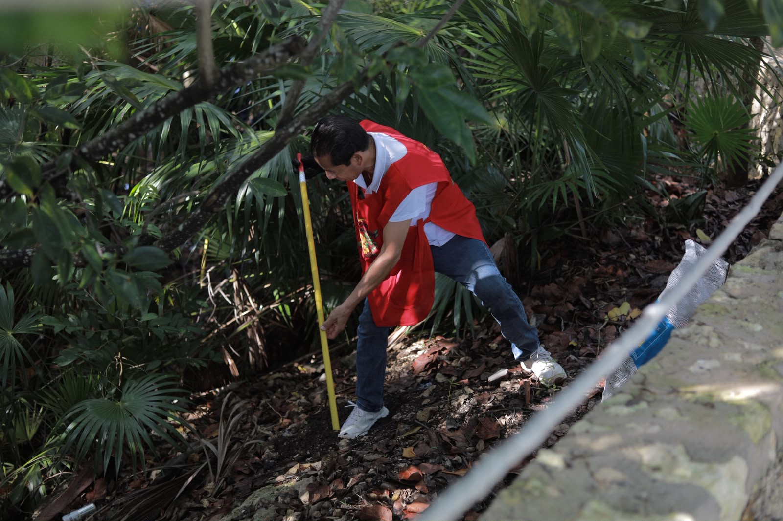 Ayuntamiento limpia cenote en SM 523 para preservarlo