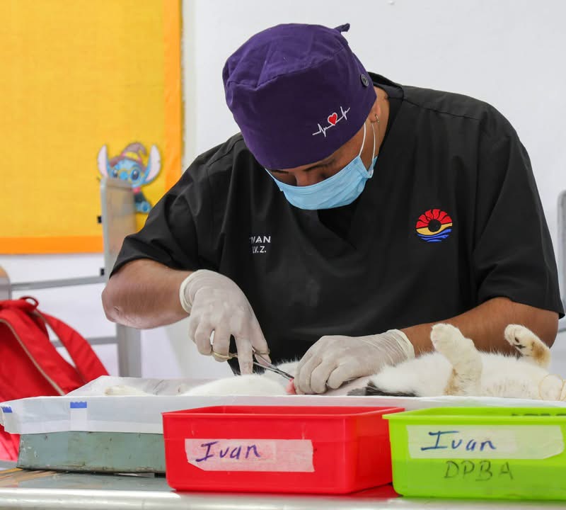 Benito Juárez realiza jornada de esterilización animal