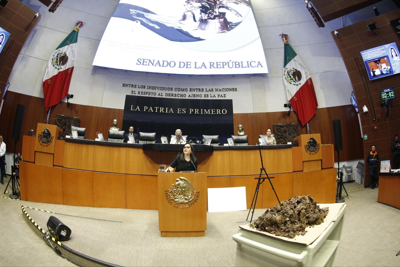 Mayuli Martínez exige recursos para combatir sargazo