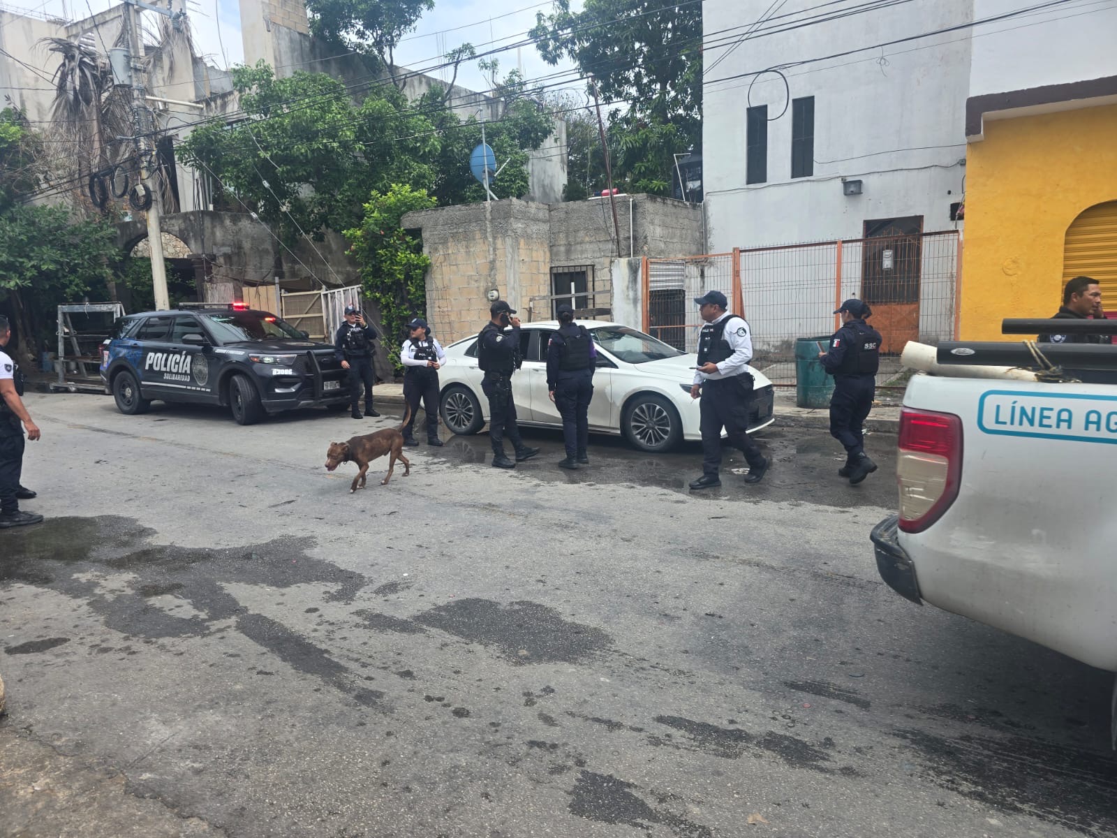 Niño queda encerrado en auto tras detención en Playa del Carmen