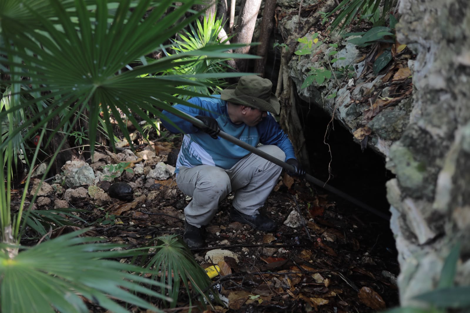 Ayuntamiento limpia cenote en SM 523 para preservarlo