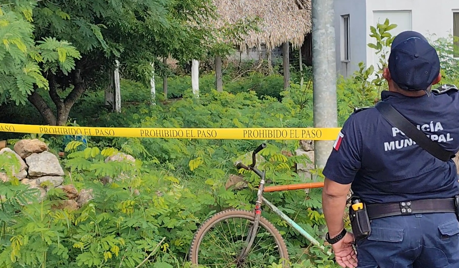 Hallan cuerpo en predio de José María Morelos