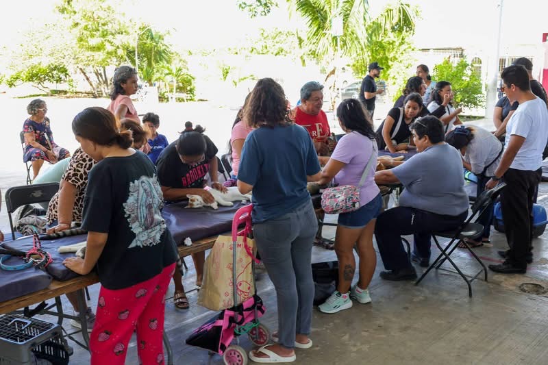 Benito Juárez realiza jornada de esterilización animal
