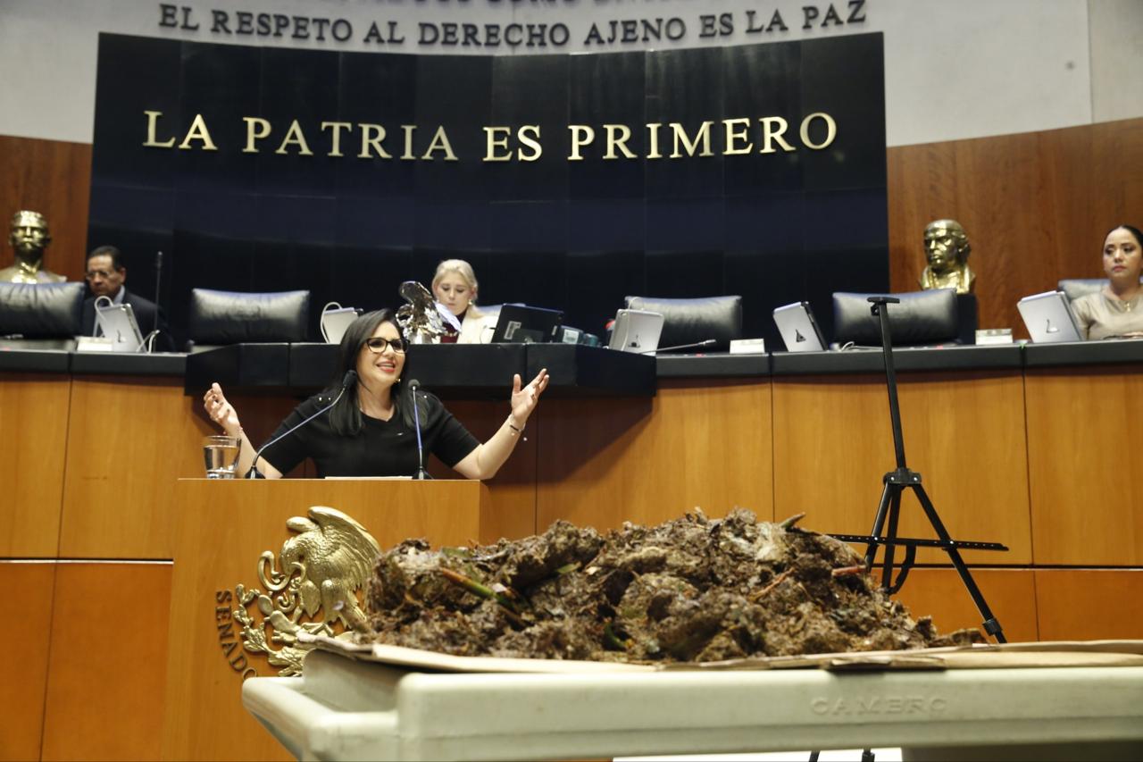 Mayuli Martínez exige recursos para combatir sargazo