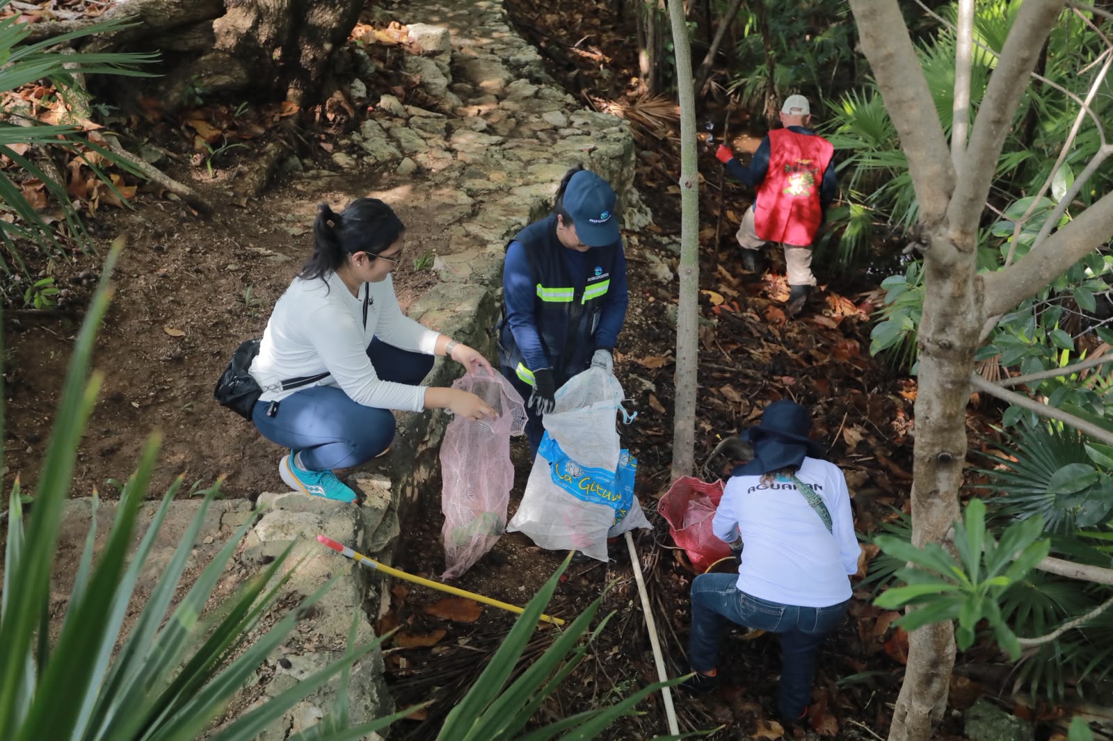 Ayuntamiento limpia cenote en SM 523 para preservarlo
