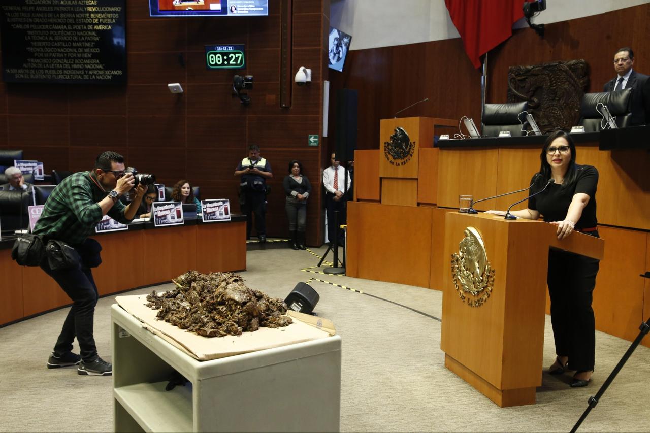 Mayuli Martínez exige recursos para combatir sargazo