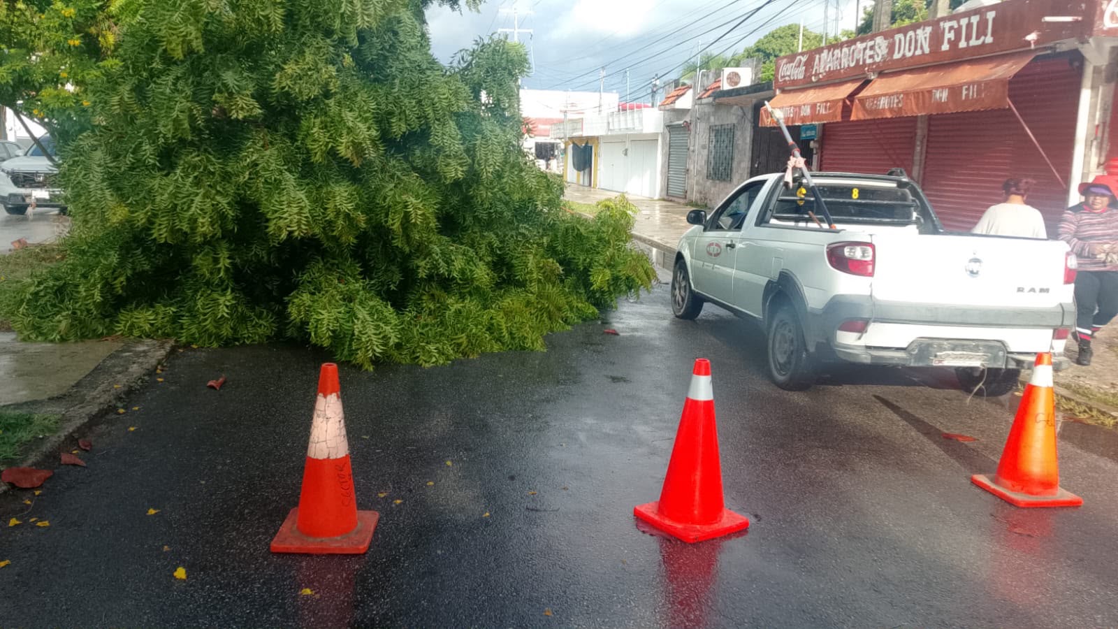 Othón P. Blanco refuerza atención ante lluvias