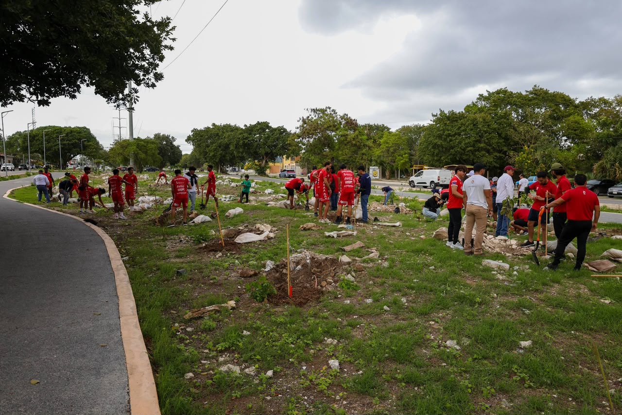 Ayuntamiento de Benito Juárez planta 150 árboles en Av. 20 de Noviembre