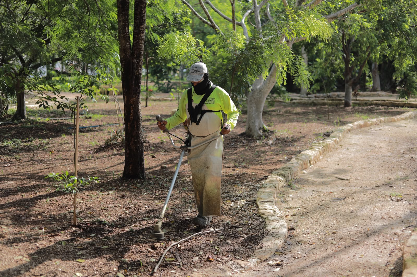 Ayuntamiento limpia cenote en SM 523 para preservarlo