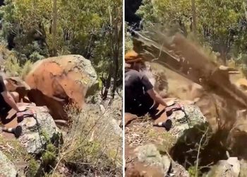 VIDEO; Se salvo por unos centímetros, tronco le arranca la gorra