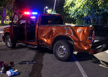 Joven pierde el control y derriba palmera en Chetumal