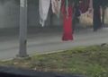 VIDEO; Mujer tiende lencería en Playa del Carmen y sorprende a conductores