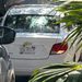 VIDEO; Detienen auto usado para arrojar cadáver en Cancún