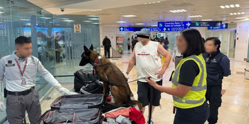 Detienen a pasajero con 10 kilos de cocaína ocultos en su maleta en el Aeropuerto de Cancún