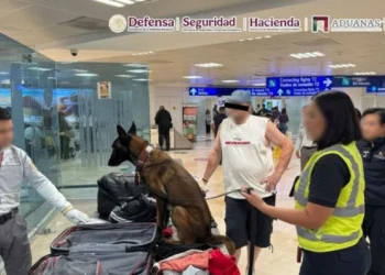 Hallan cocaína en maleta en aeropuerto de Cancún