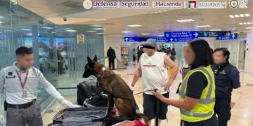 Hallan cocaína en maleta en aeropuerto de Cancún