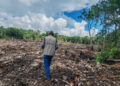 La Profepa impuso una clausura total temporal a un predio de Playa del Carmen, Quintana Roo, donde detectó la remoción de vegetación forestal en 14 mil 632 metros cuadrados.